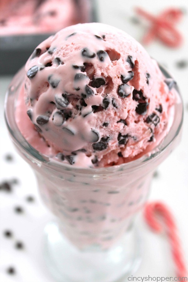 peppermint-chocolate-chip-ice-cream