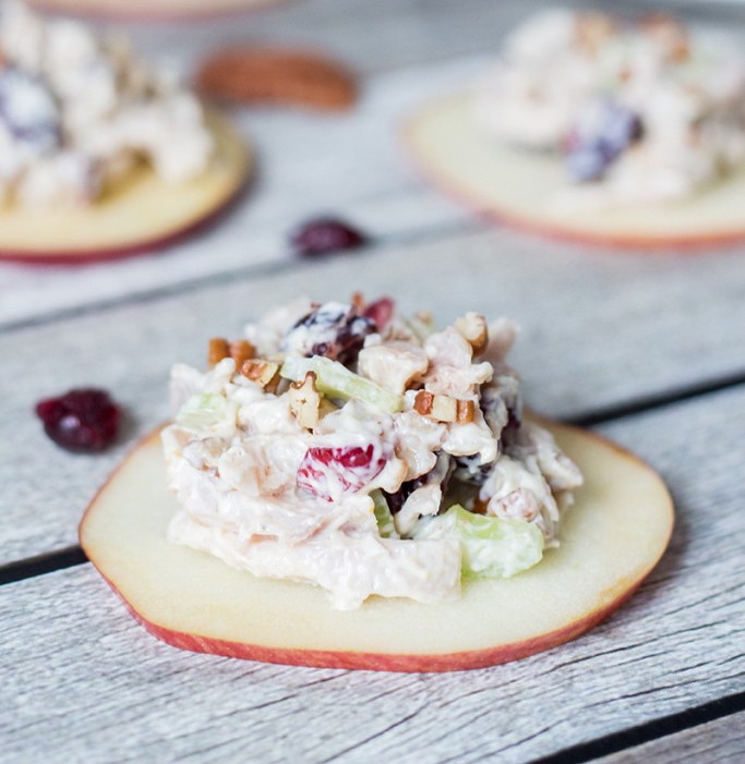 cranberry-chicken-salad-on-apple-slices