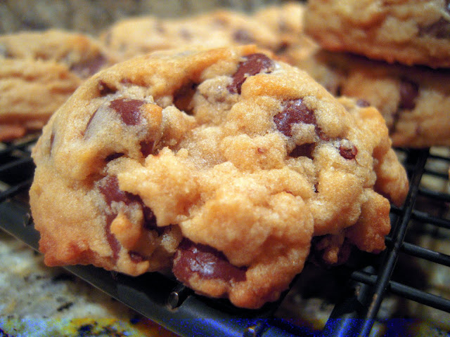 chocolate-chip