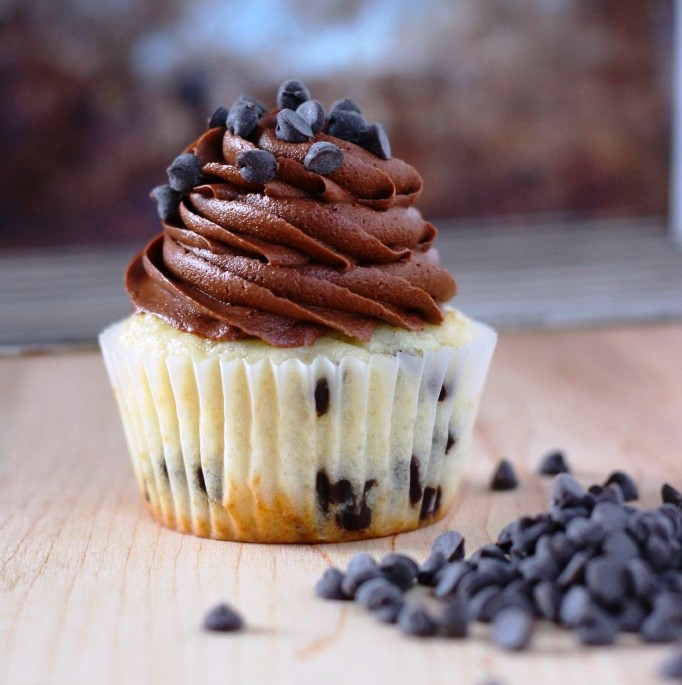 Chocolate chip cupcake