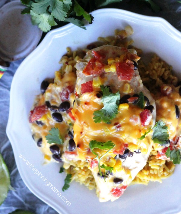 One dish queso chicken bake