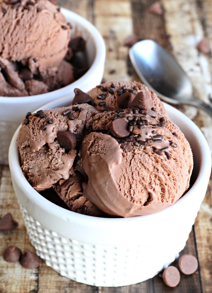 GLUTEN FREE DAIRY FREE HOMEMADE ICE CREAM RECIPE visual data 5