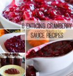 6 Enticing Cranberry Sauce Recipes