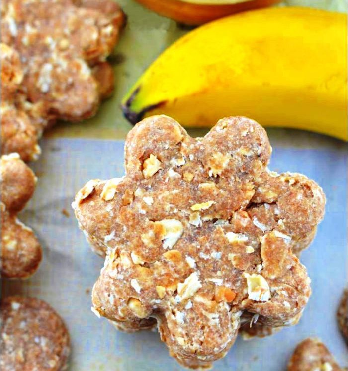 These homemade dog treats are filled with peanut butter, mashed banana, and oats! These make great gift ideas and are a fun baking activity for adults and kids!