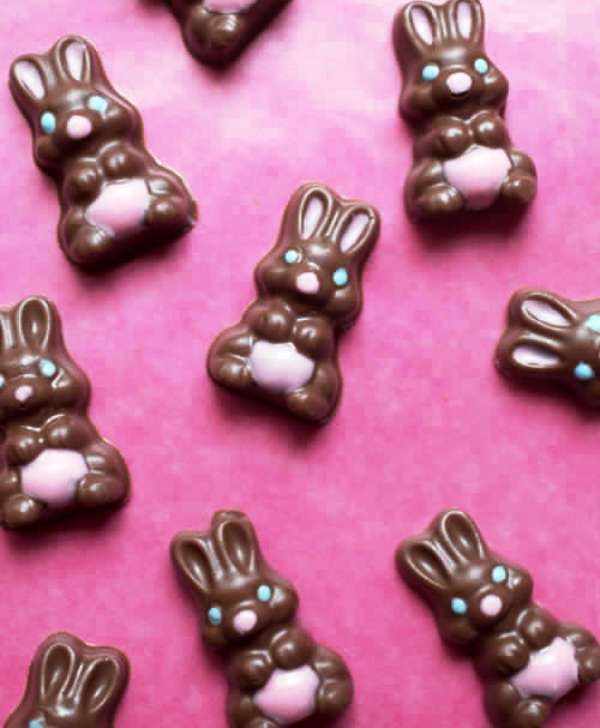 Chocolate-easter-bunnies