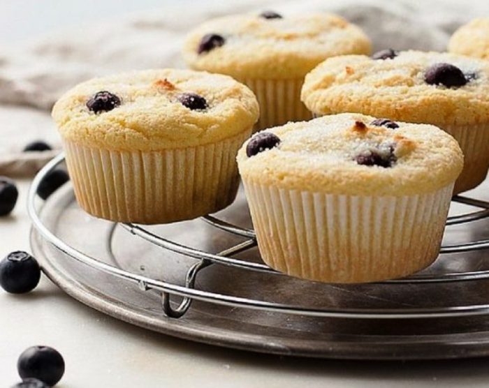 Keto blueberry muffins (coconut flour)