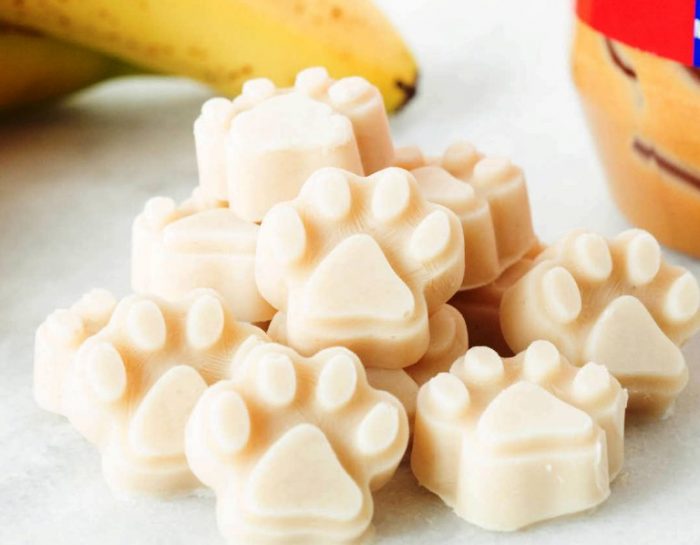 These simple and easy to make Peanut Butter Banana Yogurt Dog Treats are a great way for your pup to cool down! Budget-friendly and healthy for your dog. 