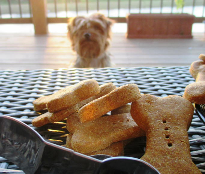 I like to bake homemade dog biscuits for our four furry friends. This way I know exactly what is in them and they are healthier (and cheaper) than store-bought treats. Most of these ingredients you’ll find already in your pantry. Let’s make some Homemade Pumpkin Dog Biscuits!