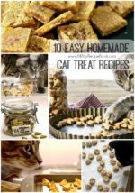 10 Easy Homemade Cat Treat Recipes