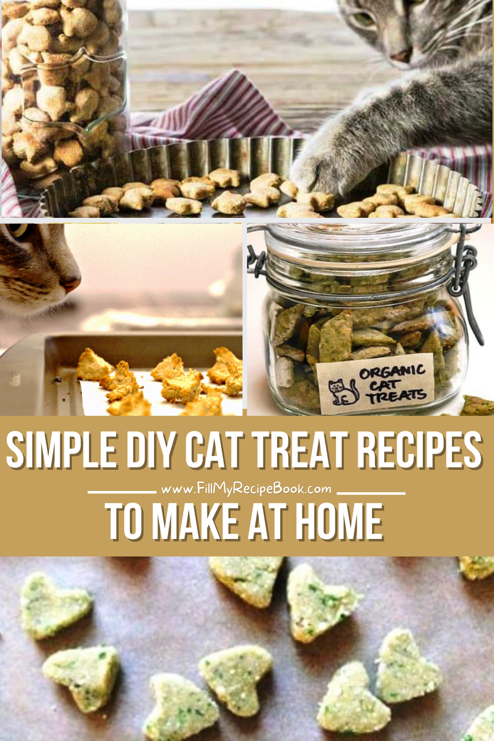 Simple DIY Cat Treat Recipes To Make At Home with healthy homemade ideas your cats will love. Easy pet treats made with simple pantry ingredients.