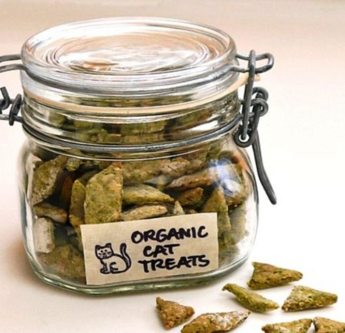 If your kitty loves a crunchy treat. Then try making these easy and healthy organic goodies that will have her purring. Filled with healthy spinach and chicken, these cat treats also include organic catnip.  Which ensures your fur-ball will go crazy for these indulgences.