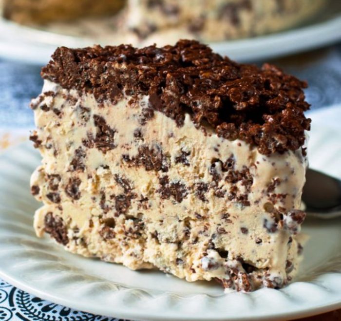 Nutella-crunch-ice-cream-cake