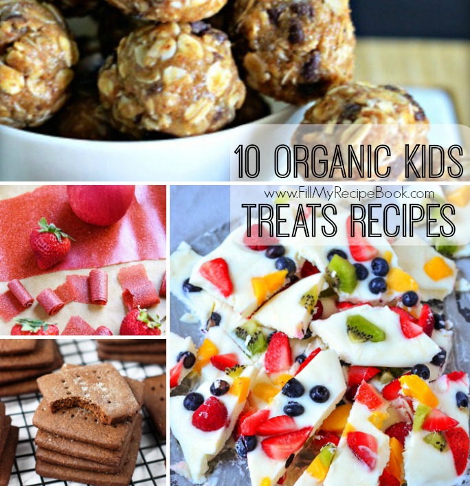 10 Organic Kids Treats Recipes - Fill My Recipe Book