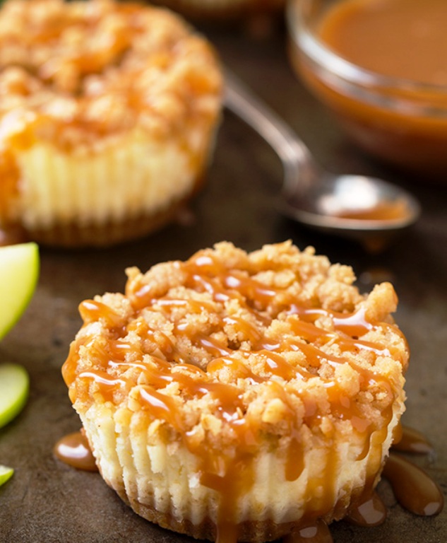 Rich and creamy cheesecake is dotted with brightly flavored apples, then cheesecake is topped with an oat, cinnamon flavored streusel topping and baked.