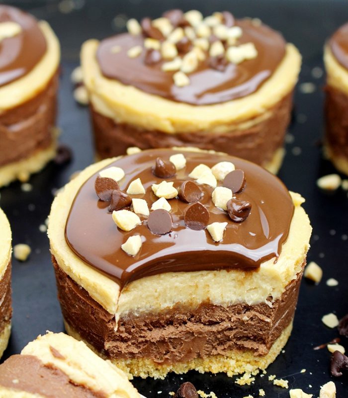 No-bake-chocolate-peanut-butter-mini-cheesecake