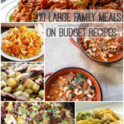 10 Large Family Meals on Budget Recipes
