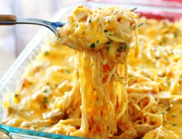 Creamy-cheesy-chicken-spaghetti