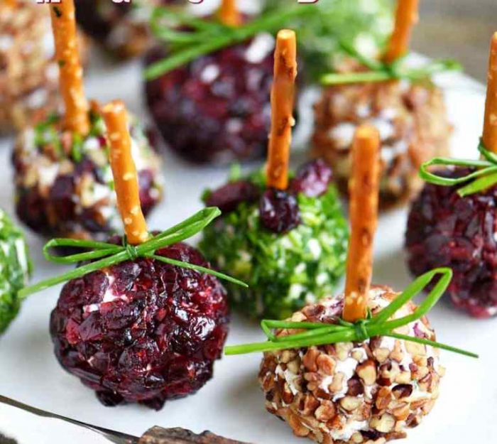 Cranberry Pecan Mini Goat Cheese Balls! Holiday entertaining has never been easier or more delicious! So easy to make and gorgeous too! Perfect for Thanksgiving, Christmas, and New Year’s.