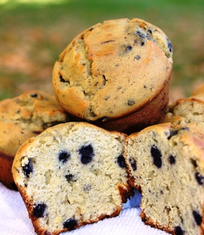 Coconut-flour-blueberry-muffins