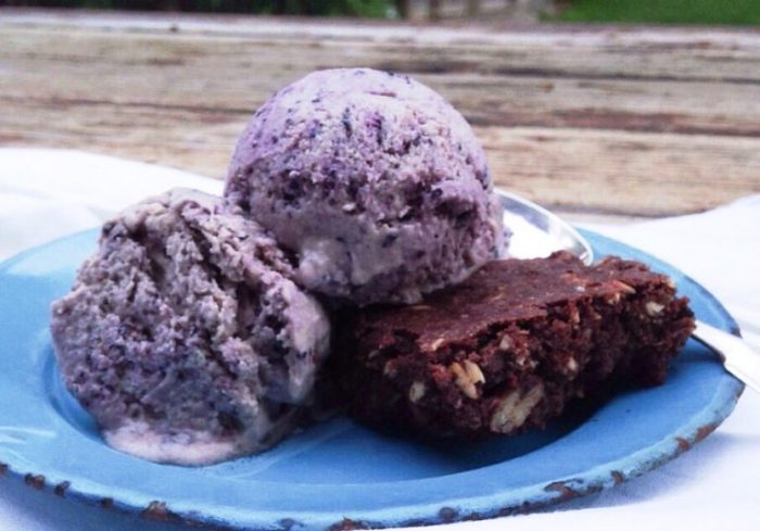 Coconut-blueberry-ice-cream-no-churn-vegan-paleo-gluten-free