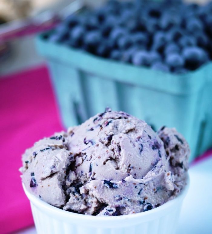 Blueberry-frozen-yogurt