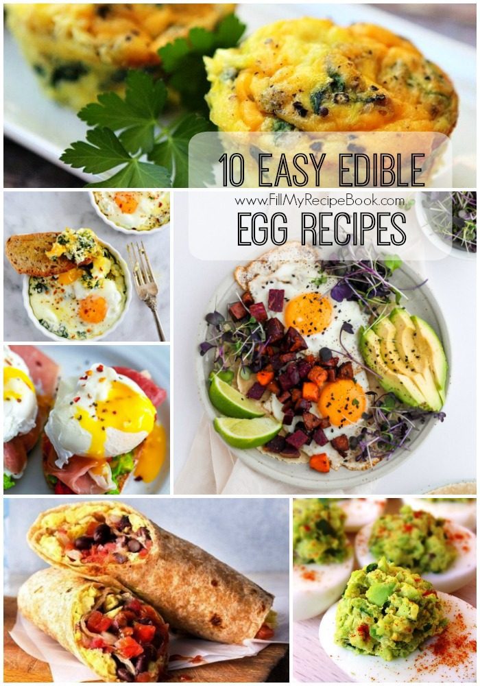 10 Easy Edible Egg Recipes - Fill My Recipe Book