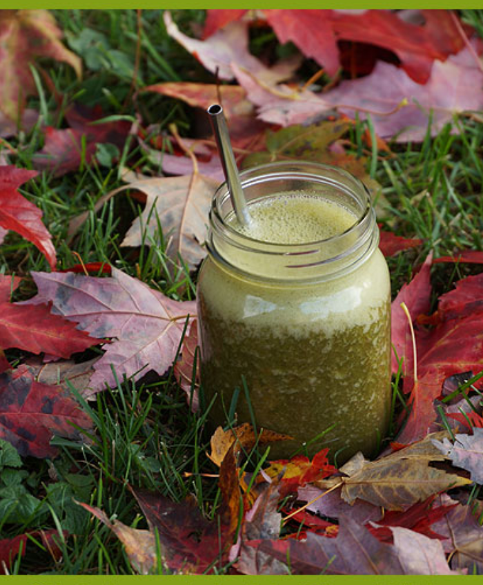 Herbal smoothie-for-anemia