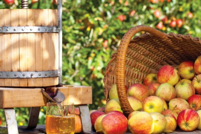 How-to-make-hard-apple-cider