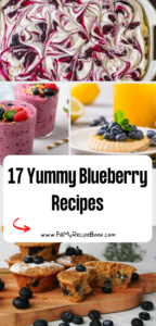 17 Yummy Blueberry Recipes ideas to choose from. The best easy healthy recipes for breakfast or desserts for savory or sweet summer snacks.