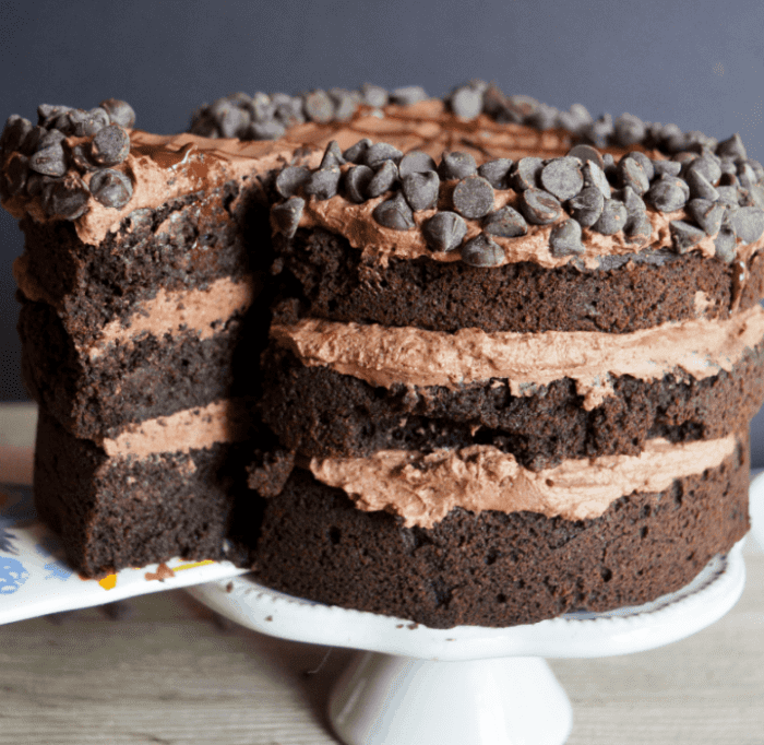 This Keto Death by Chocolate Cake is for the ULTIMATE chocolate lover! It's the perfect low carb sweet treat to satisfy your cravings!