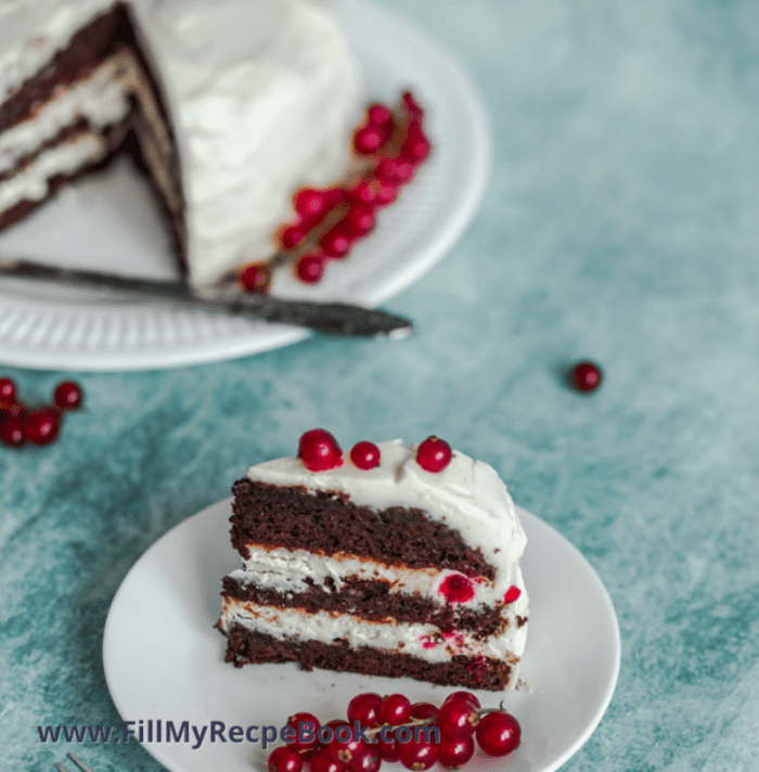 Triple Layer Chocolate Tuxedo Cake recipe. Best gluten free homemade triple layer chocolate cake with mascarpone cheese filling as a dessert.