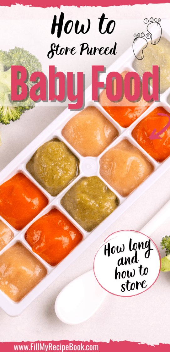 How to Store Pureed Baby Food Fill My Recipe Book
