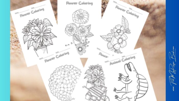 This set of 6 printable coloring pages for kids features fun designs of flowers and dinosaurs—two favorites for young children. Each sheet includes space for children to practice writing their names, helping to reinforce early literacy skills. Coloring also supports the recognition of colors, improves fine motor skills, and teaches kids how to control pencils or crayons with precision. These engaging worksheets provide a fun, educational activity that promotes creativity, hand-eye coordination, and early writing skills, making them perfect for both home and classroom use.