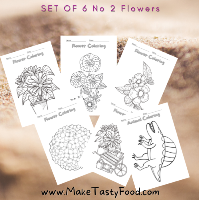 set no 2 of flowers and a dinosaur to color in for kids