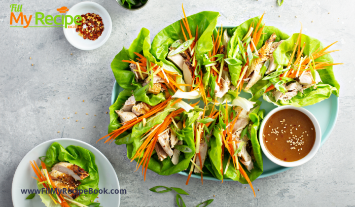 Healthy Asian Chicken Wrap