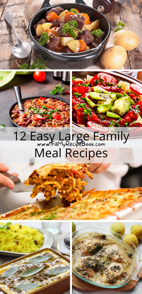 12 Easy Large Family Meal Recipes - Fill My Recipe Book