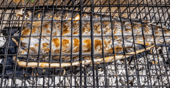 Obtain your Fresh Tasty Snoek Fresh from the sea for a braai, it is the best way to cook for this cold water fish. Glazed with sweat apricot jam and grilled on some coals.