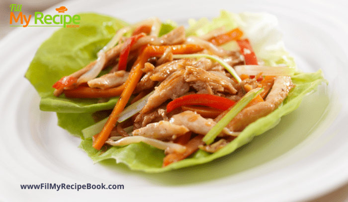 Healthy Asian Chicken Wrap with lettuce leaf
