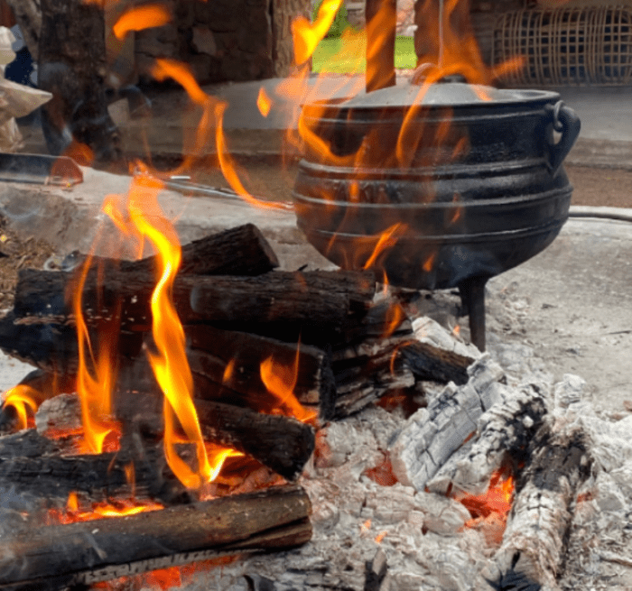 Chicken and Noodle Potjie Recipe. The Best South African creamy chicken noodle mushroom and peppers, dry white wine, on fire and coals potjie.