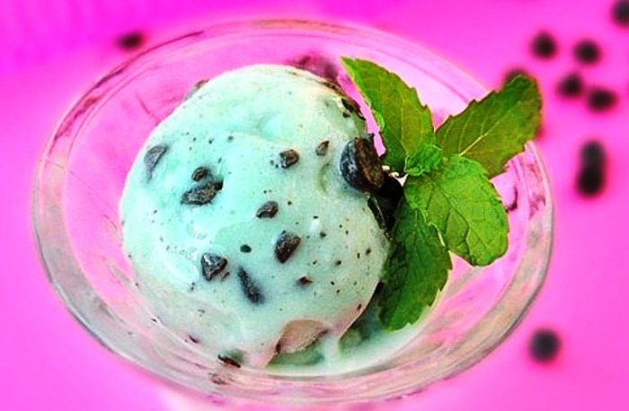 Mint-chocolate-chip-ice-cream