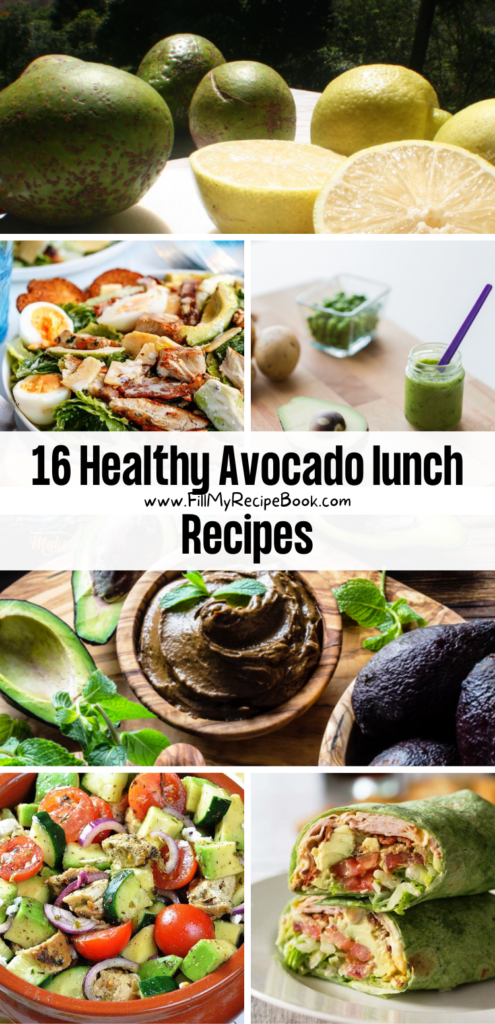 16 Healthy Avocado lunch Recipes