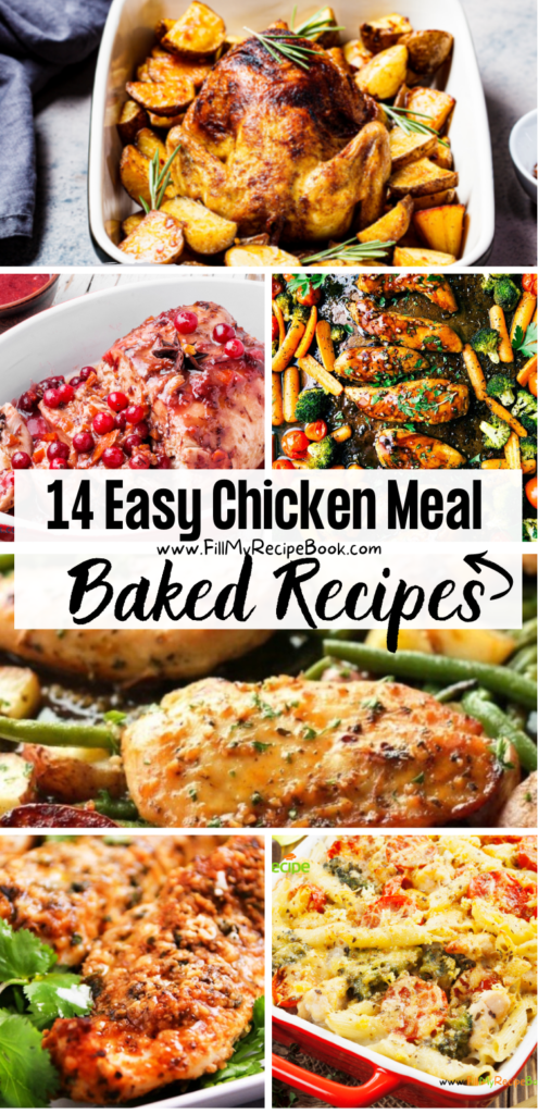 14 Easy Chicken Meal Baked Recipes