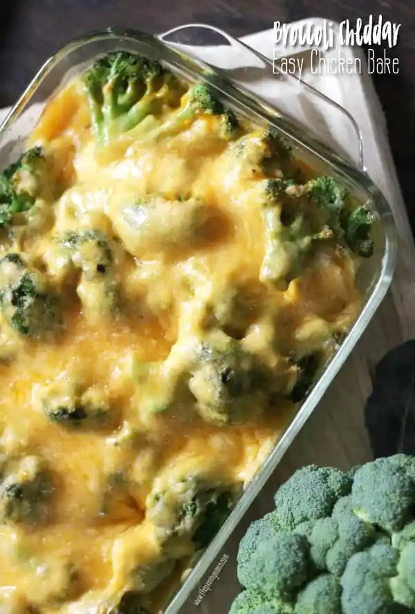 Broccoli cheese chicken bake recipe