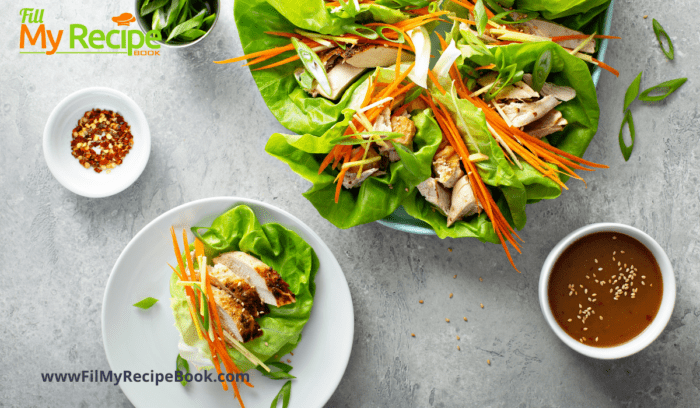 Healthy Asian Chicken Wrap