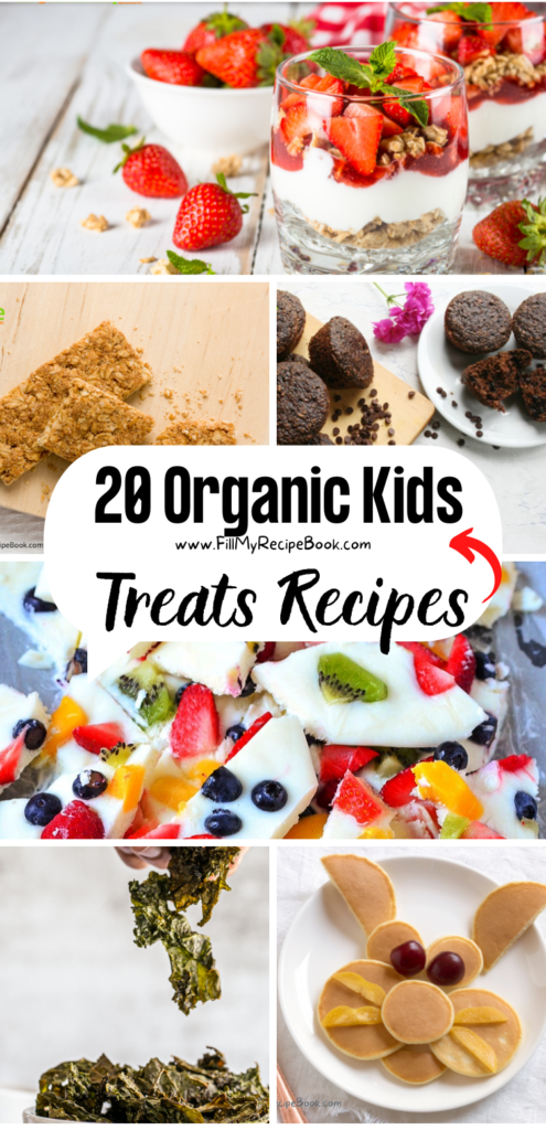 20 organic kids treats recipes 