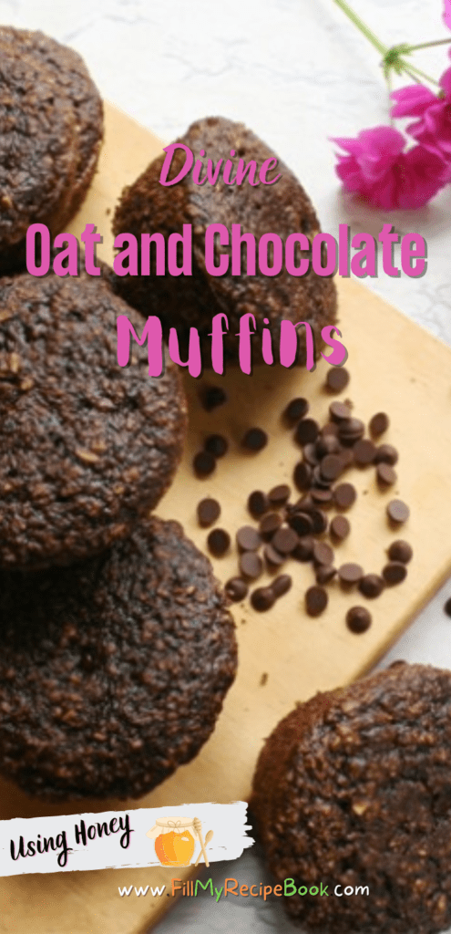 Divine Oat and Chocolate Muffins