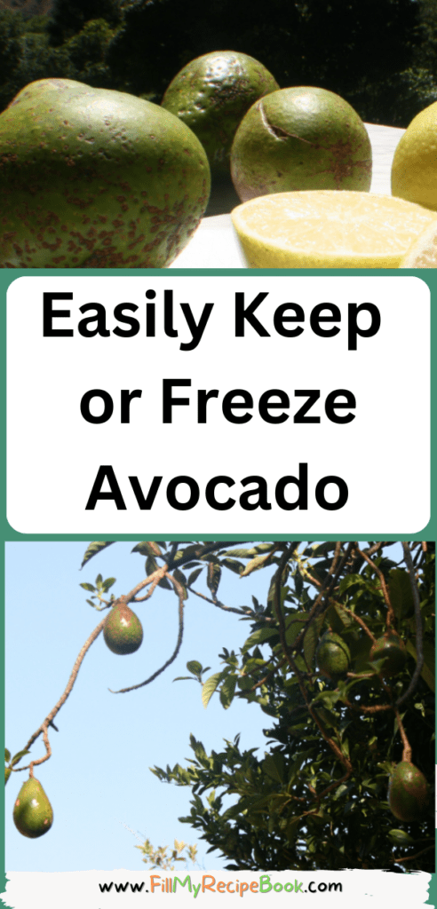 Easily Keep or Freeze Avocado