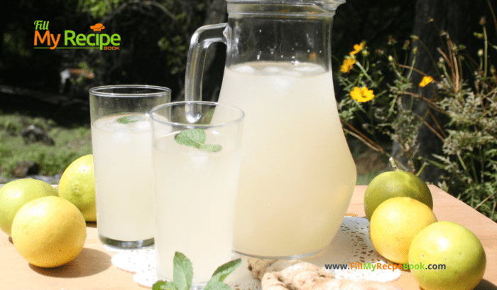 Homemade Thirst Quenching Ginger Beer recipe. The best homemade cold ginger and lemon juice, non alcoholic drink for a hot summer day.