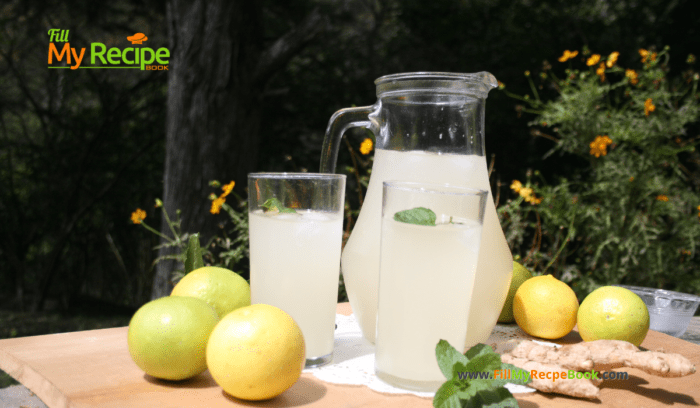 Homemade Thirst Quenching Ginger Beer recipe. The best homemade cold ginger and lemon juice, non alcoholic drink for a hot summer day.