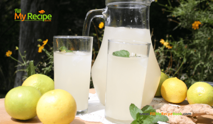 Homemade Thirst Quenching Ginger Beer recipe. The best homemade cold ginger and lemon juice, non alcoholic drink for a hot summer day.